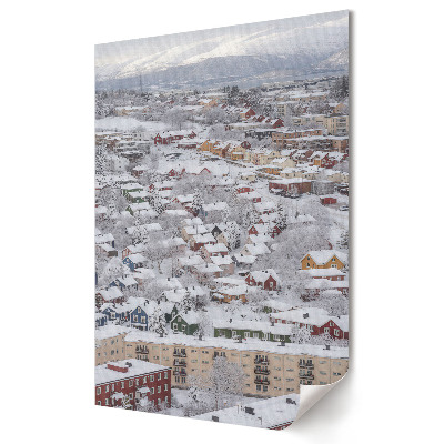 Nástěnná grafika na plátně Zimní krajina barevných domů