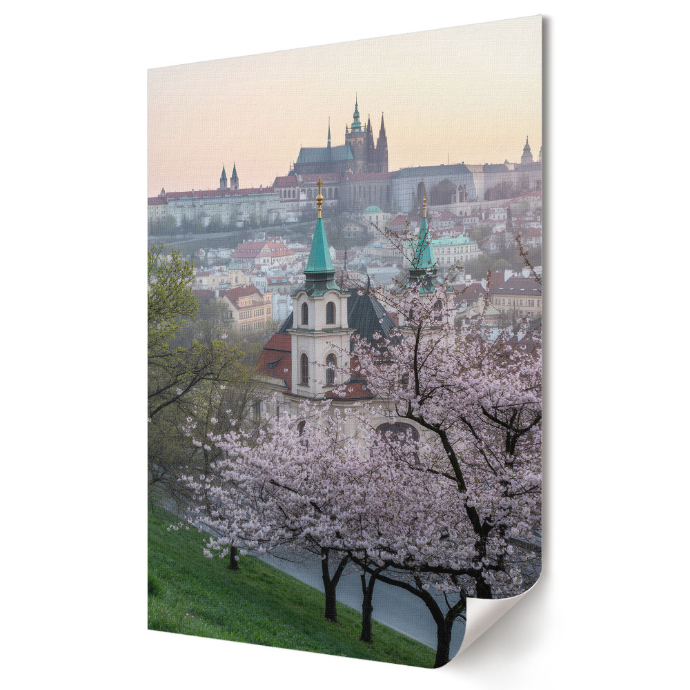 Nástěnná grafika na plátně Jarní květy nad Prahou