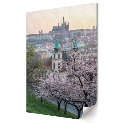 Nástěnná grafika na plátně Jarní květy nad Prahou