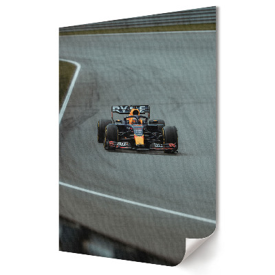 Tisk na plátno Závodní vůz na trati Formule 1