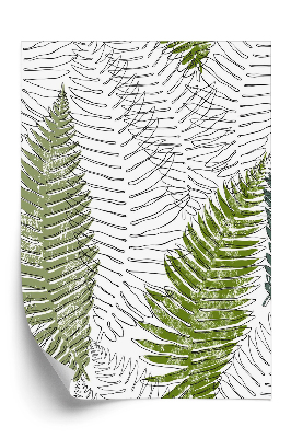 Tapeta Listy kapradí