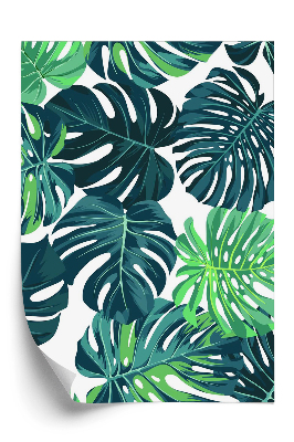Tapeta Tropická monstera