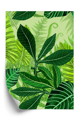 Tapeta Vzor tropických palmových listů