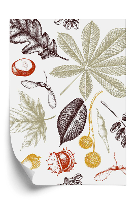 Tapeta Podzimní vzor listí kaštany a žaludy