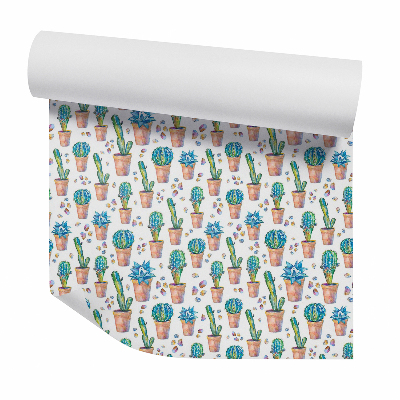 Tapeta Oblázky v kaktusových květináčích