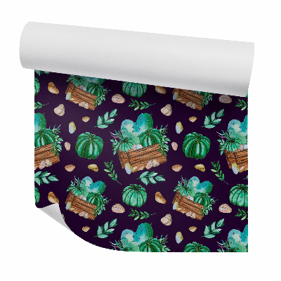 Samolepící tapeta Kaktusy v dřevěných květináčích tmavé