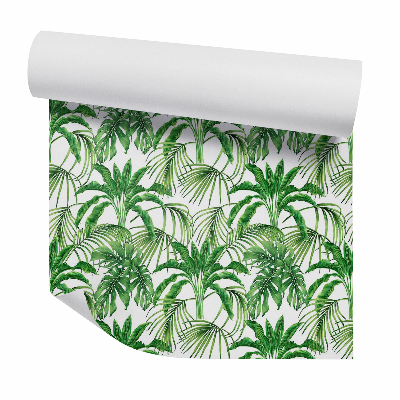 Tapeta na zeď Exotické kapradiny