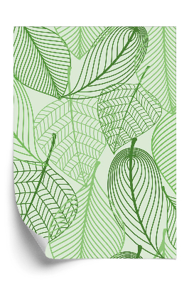 Tapeta Zelené listy