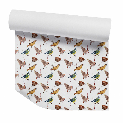 Samolepící tapeta Vrabci a další ptáci