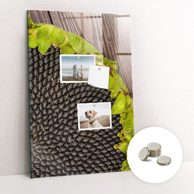 Nástěnka magnetická Slunečnicová semínka