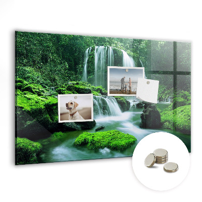 Skleněná magnetická tabule Vodopád na Srí Lance