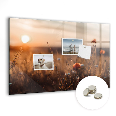 Tabule na magnety Pole při východu slunce