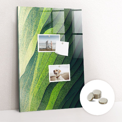 Magnetická nástěnka Zelené prameny příroda