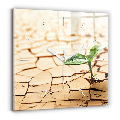 Skleněné nástěnné hodiny čtvercové Rostlina v suché zemi